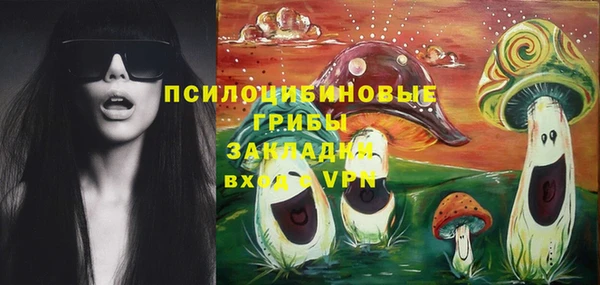 мдма Белокуриха